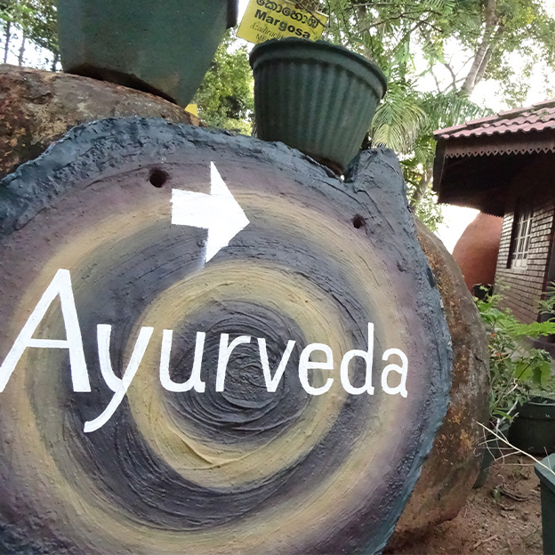 世界最古の伝統医学